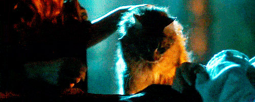Game-of-Thrones-ser-pounce