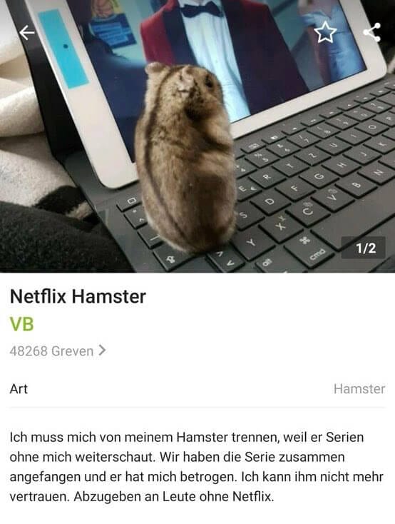 serieslyAWESOME.tv-picdump_serienbilderparade-068_13