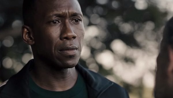TrueDetective_S03E08_Wayne