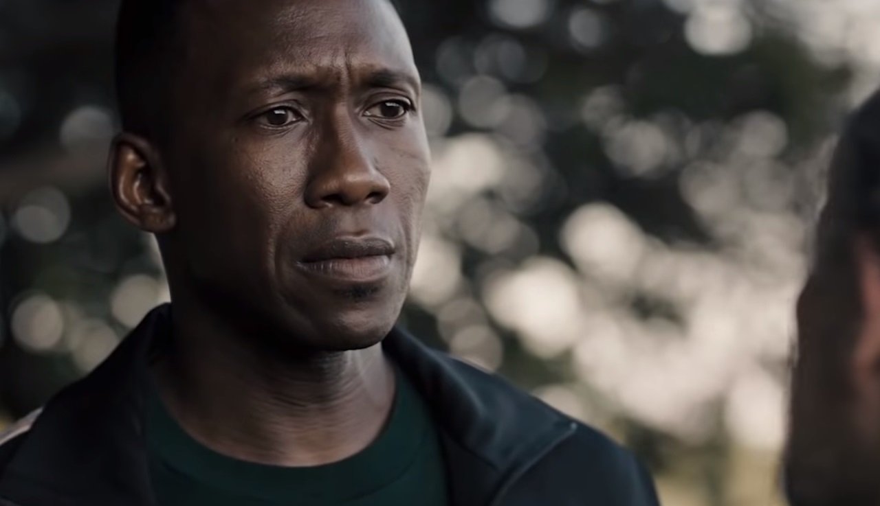 TrueDetective_S03E08_Wayne