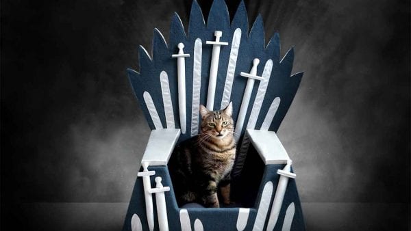eiserner-thron-game-of-thrones-katzenbett-haustiere_01