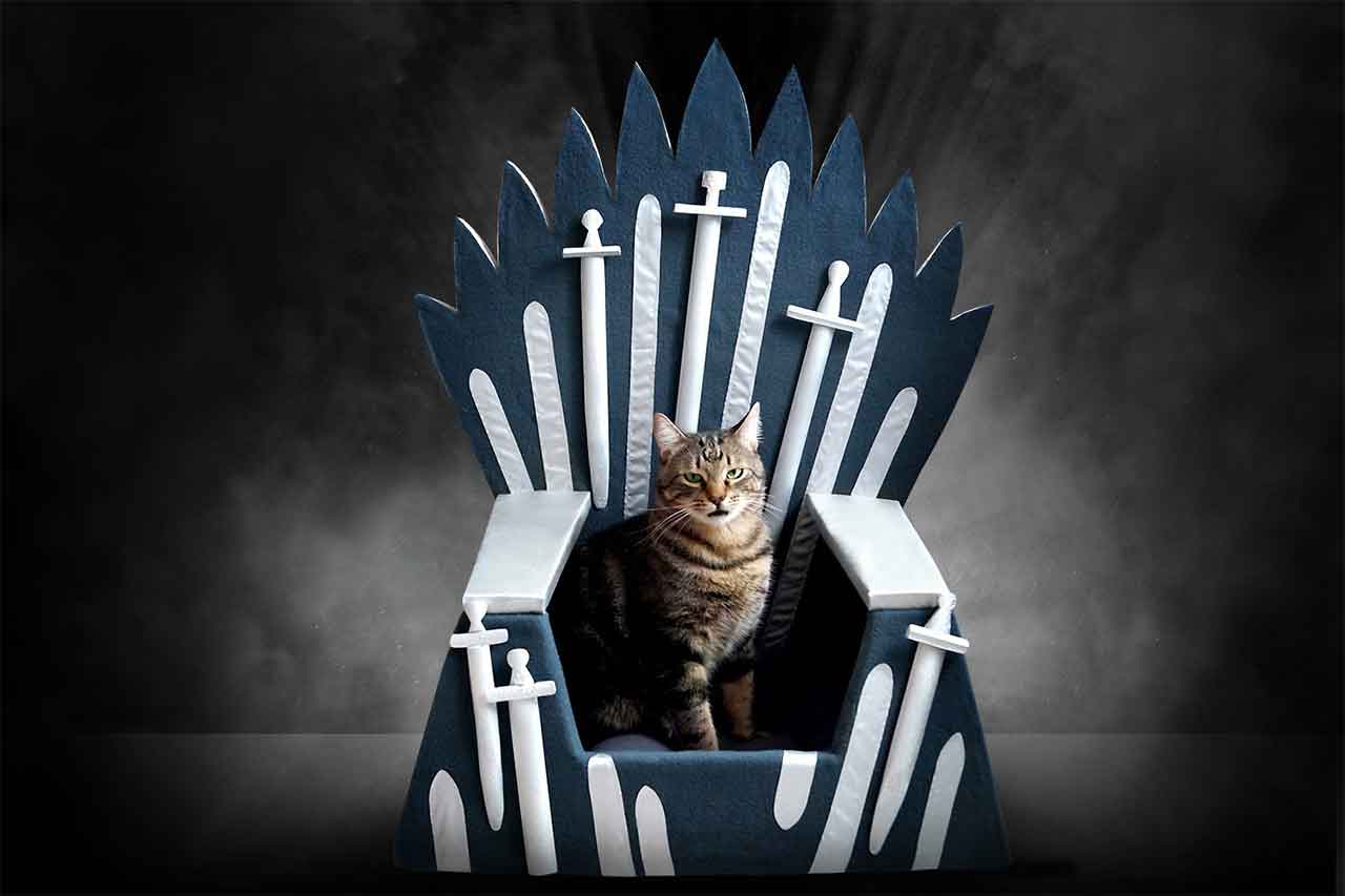 eiserner-thron-game-of-thrones-katzenbett-haustiere_01