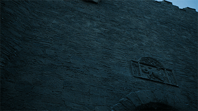 GoT_flag_stark