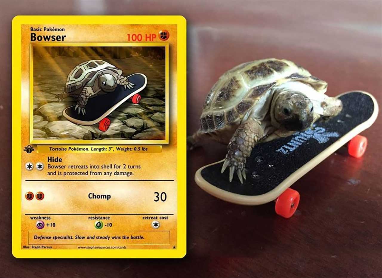 haustiere-als-pokemonkarten_01