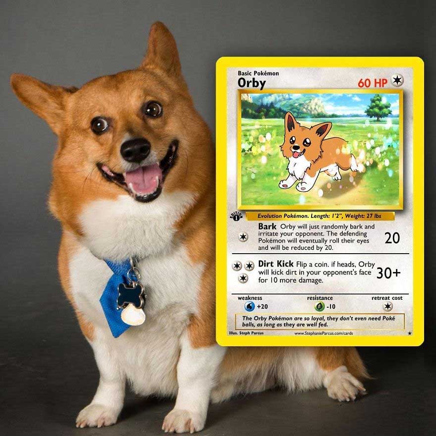 haustiere-als-pokemonkarten_02
