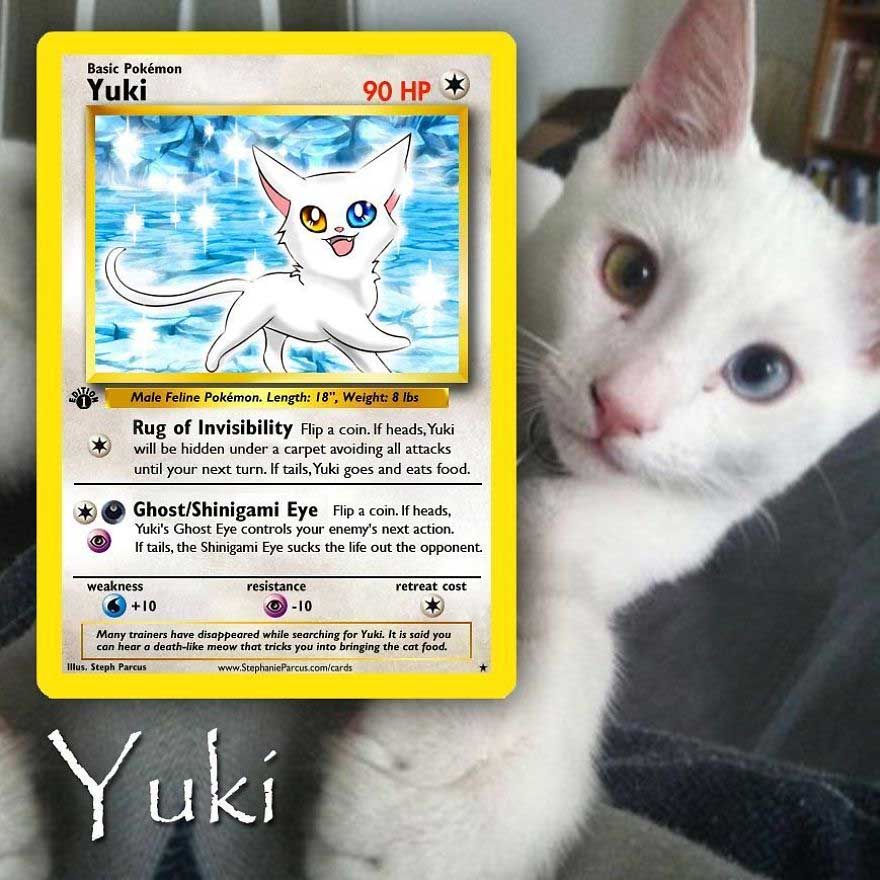 haustiere-als-pokemonkarten_03