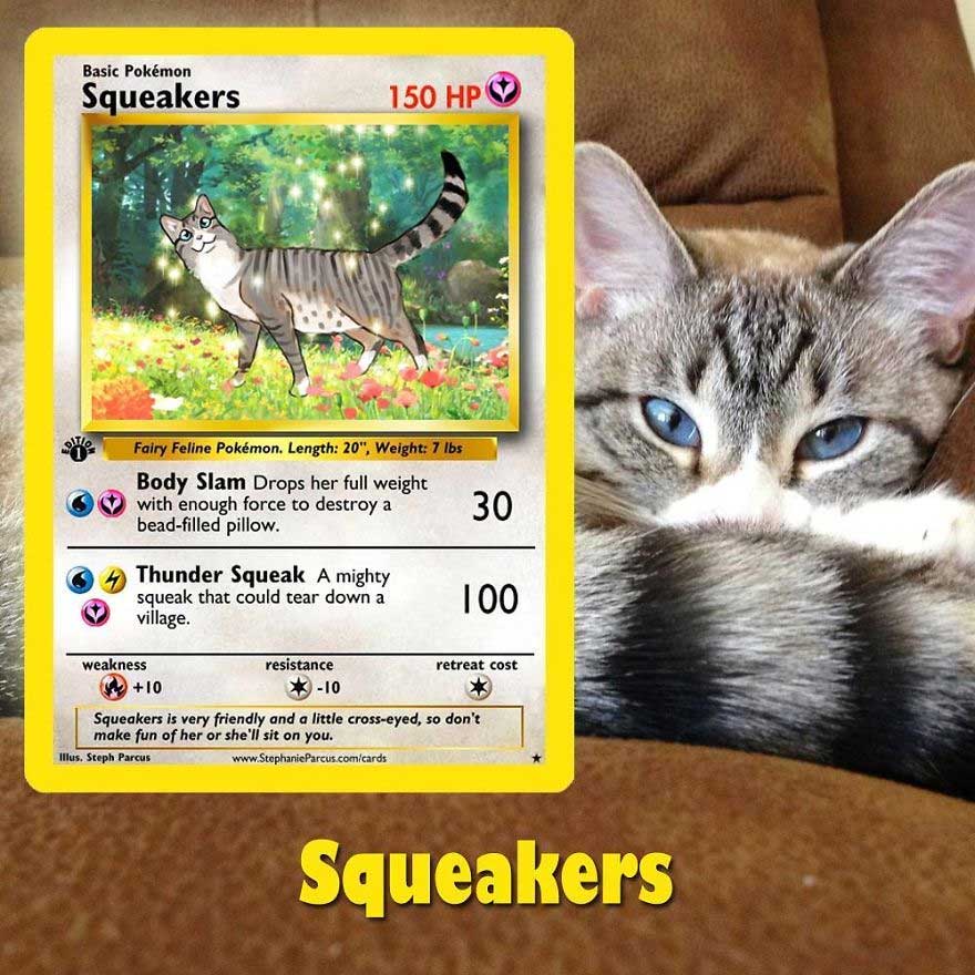 haustiere-als-pokemonkarten_04