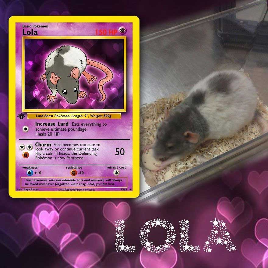 haustiere-als-pokemonkarten_06