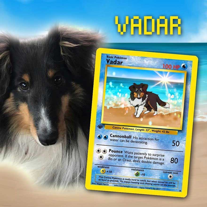 haustiere-als-pokemonkarten_09
