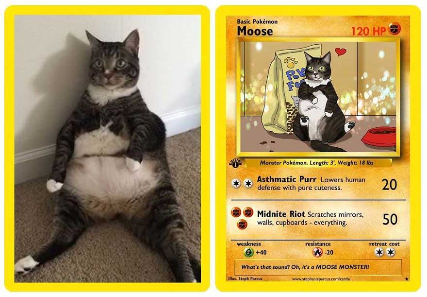 haustiere-als-pokemonkarten_13
