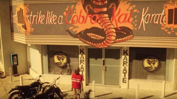 Cobra Kai Season 1