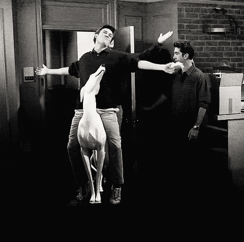 Friends_sAWEntskalender_patthedog