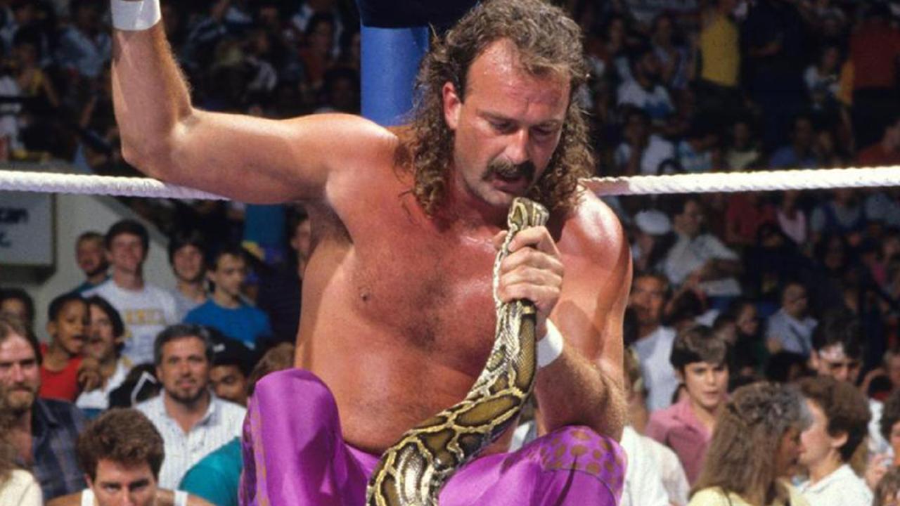 Jake-the-Snake