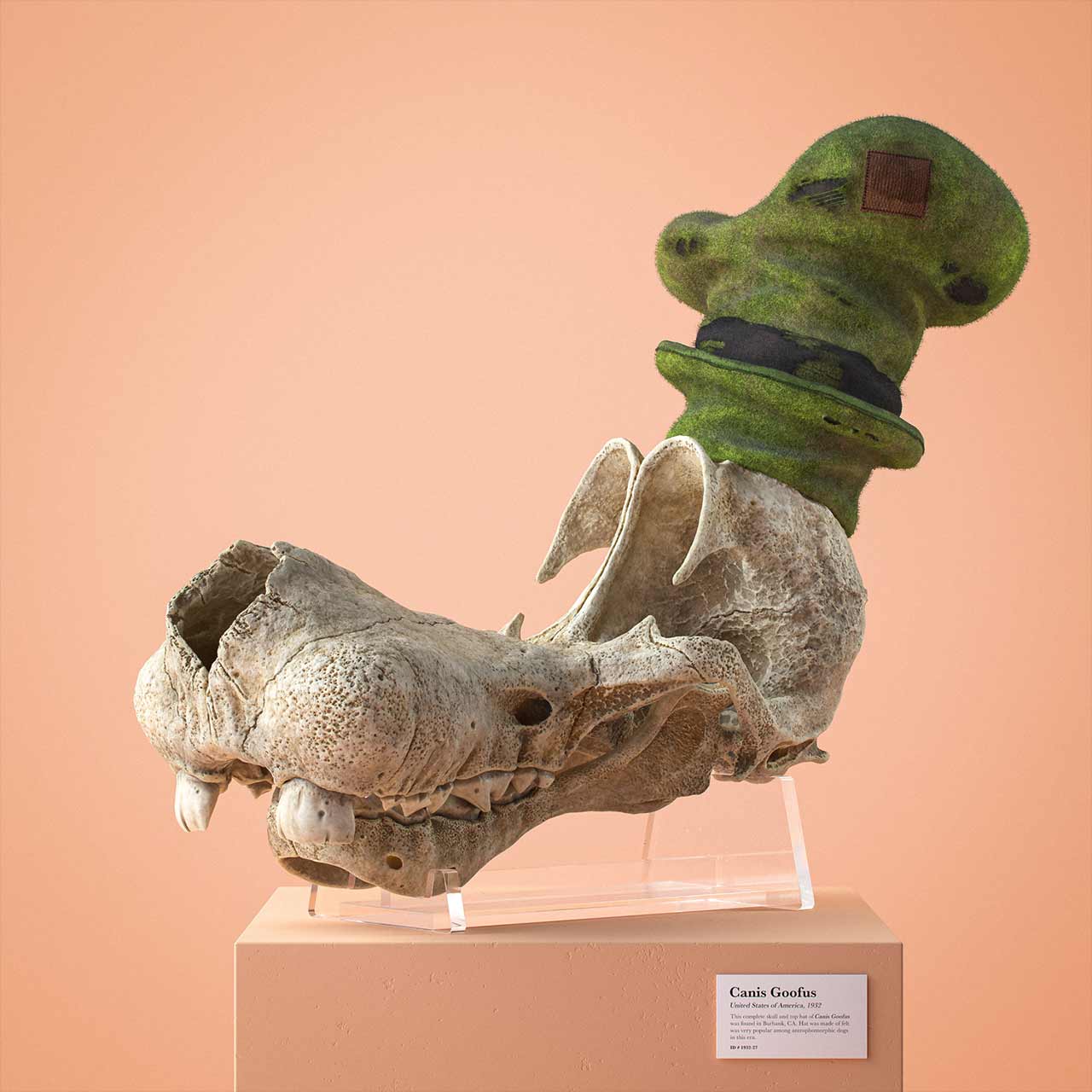 Cartoon-Fossils-Filip-Hodas_02