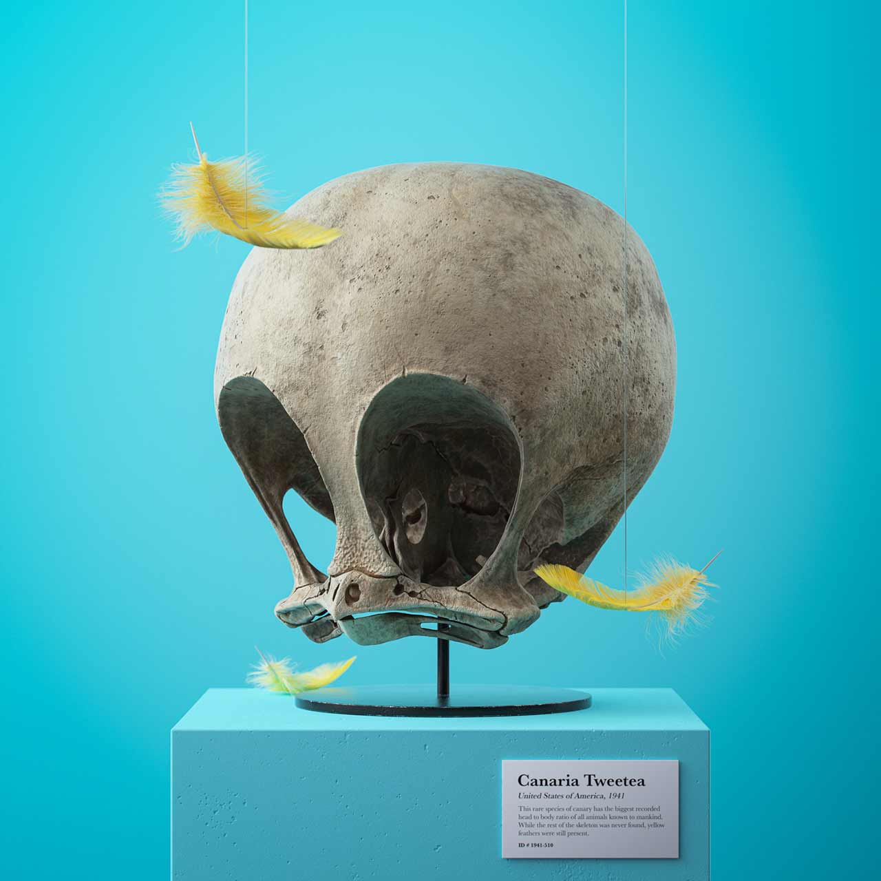 Cartoon-Fossils-Filip-Hodas_05