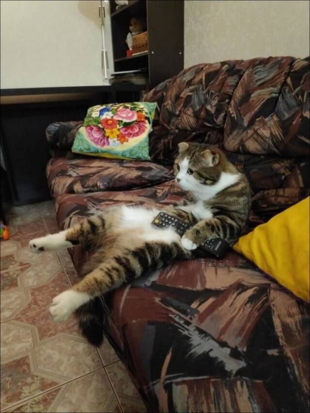 serieslyAWESOME.tv-picdump_serienbilderparade-082_13