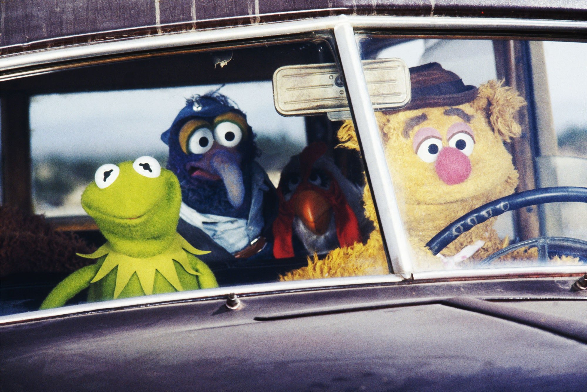 muppet-content-disney-plus