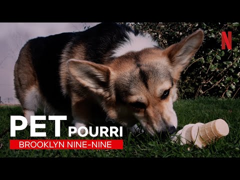 Brooklyn Nine-Nine: Best-of Cheddar