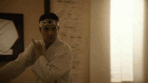 Cobra-Kai