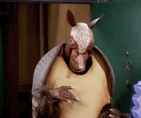 Friends_Armadillo