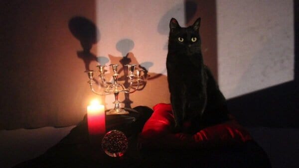 Chilling Adventures of Sabrina Salem