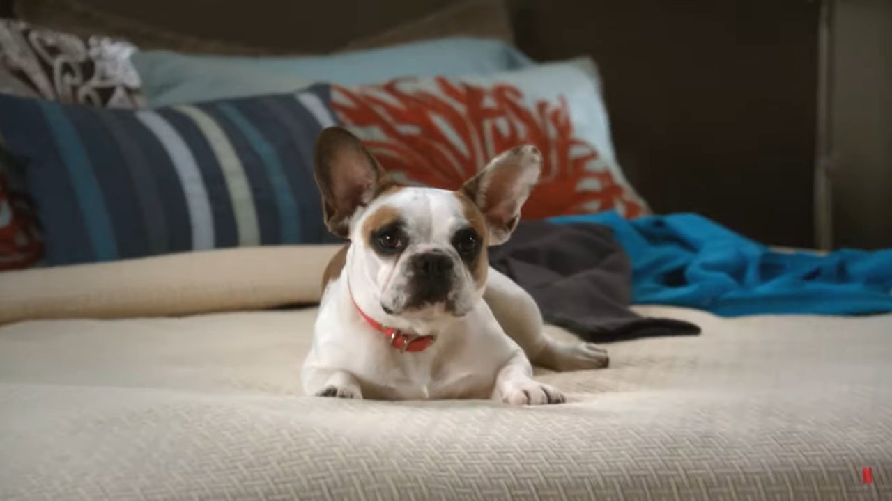 ModernFamily_Stella
