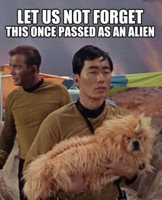 serieslyAWESOME.tv-picdump_serienbilderparade-093_02
