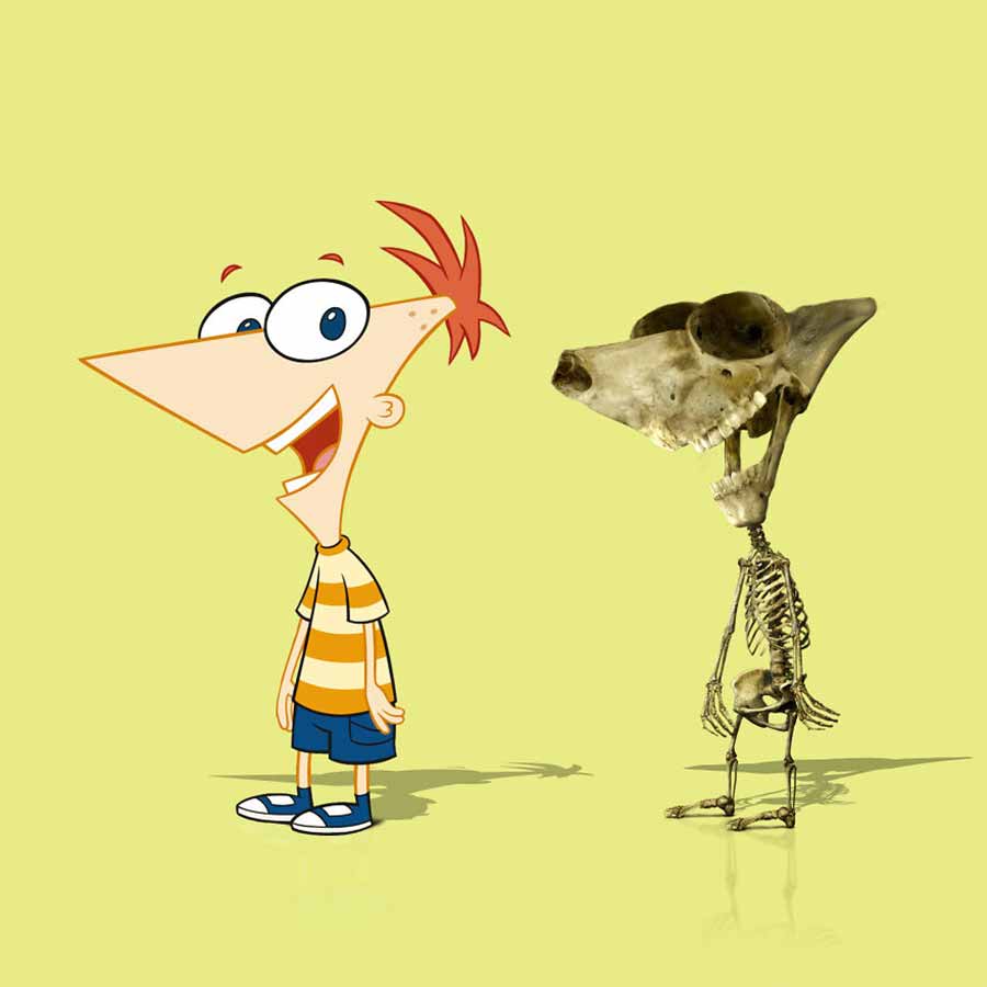 Luis-Rogerio-Faria-Rosa-cartoon-skelette_03