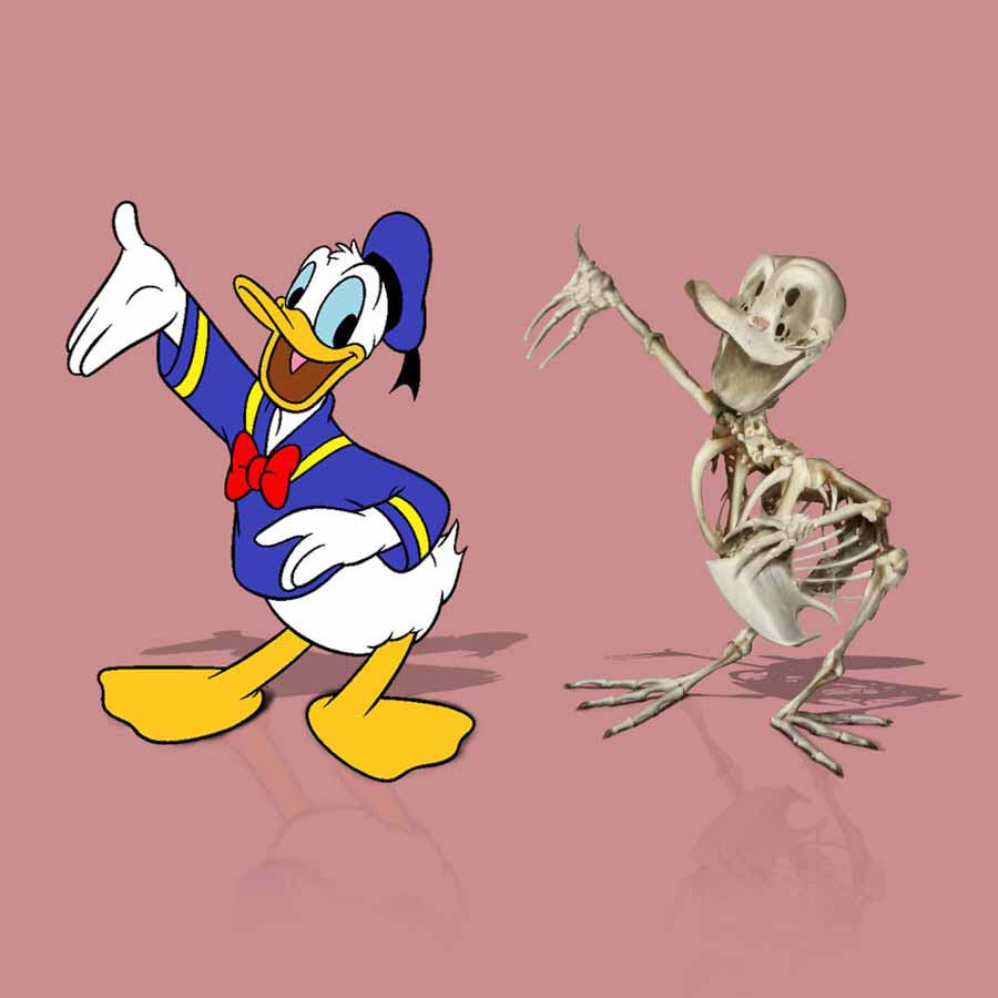 Luis-Rogerio-Faria-Rosa-cartoon-skelette_08