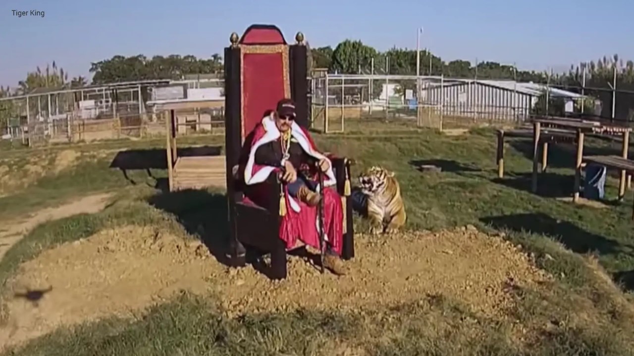 Tiger-King