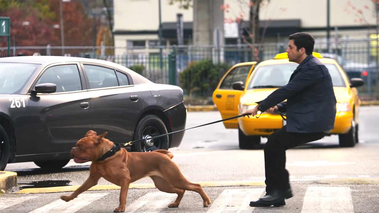 Scott-and-Hooch-Trailer-serie-disney