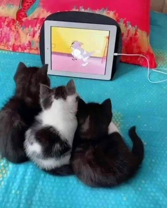 serieslyAWESOME.tv-picdump_serienbilderparade-097_03