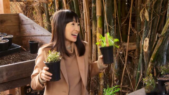 Glück und Freude mit Marie Kondo: Trailer zur neuen Glückseligkeits-Show