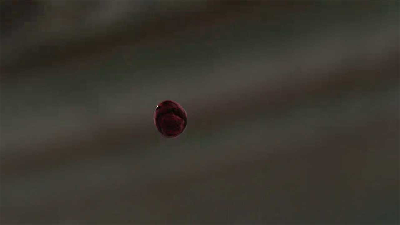 The-Walking-Dead-S11E01_Review_01
