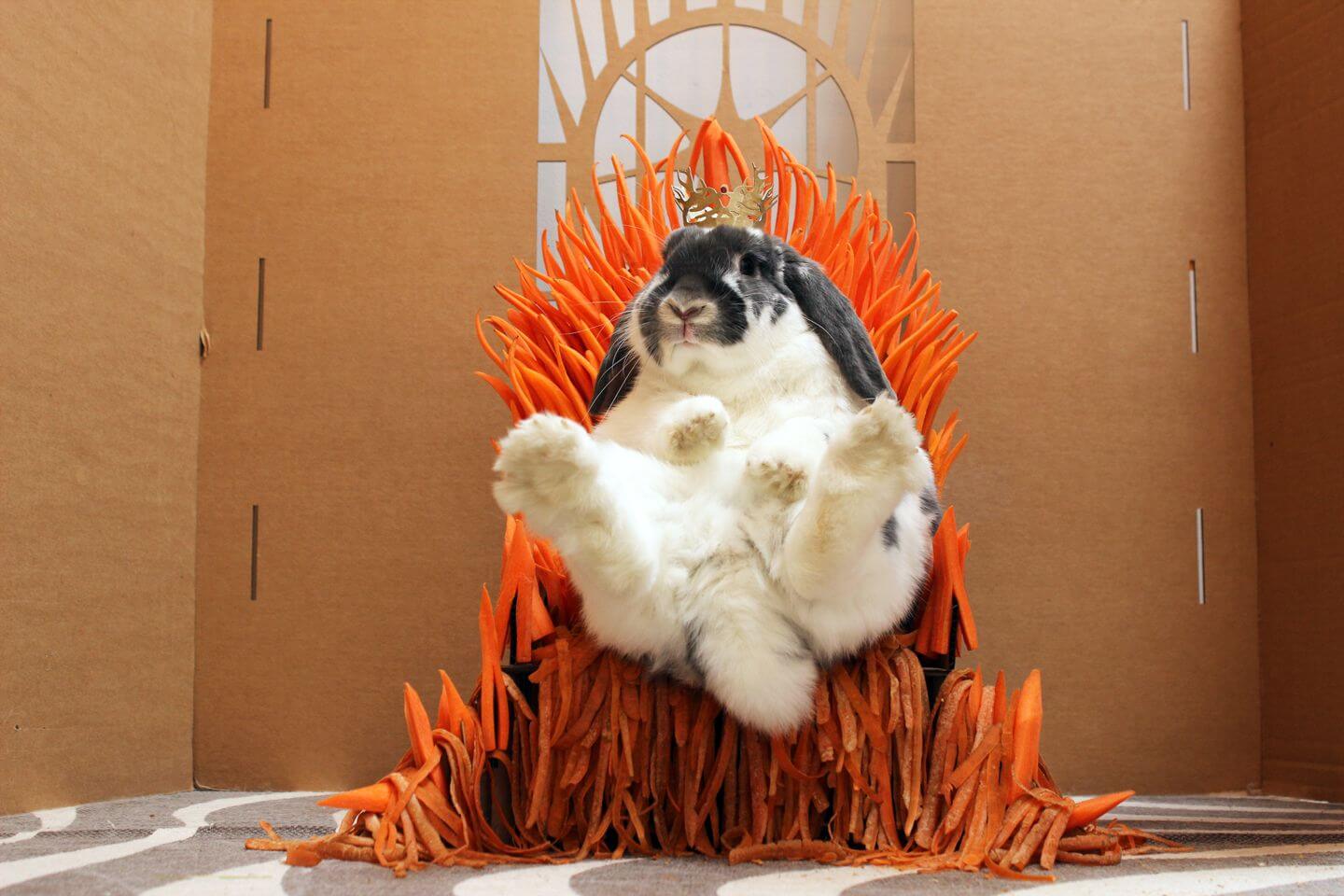 serieslyAWESOME.tv-picdump_serienbilderparade-104_21