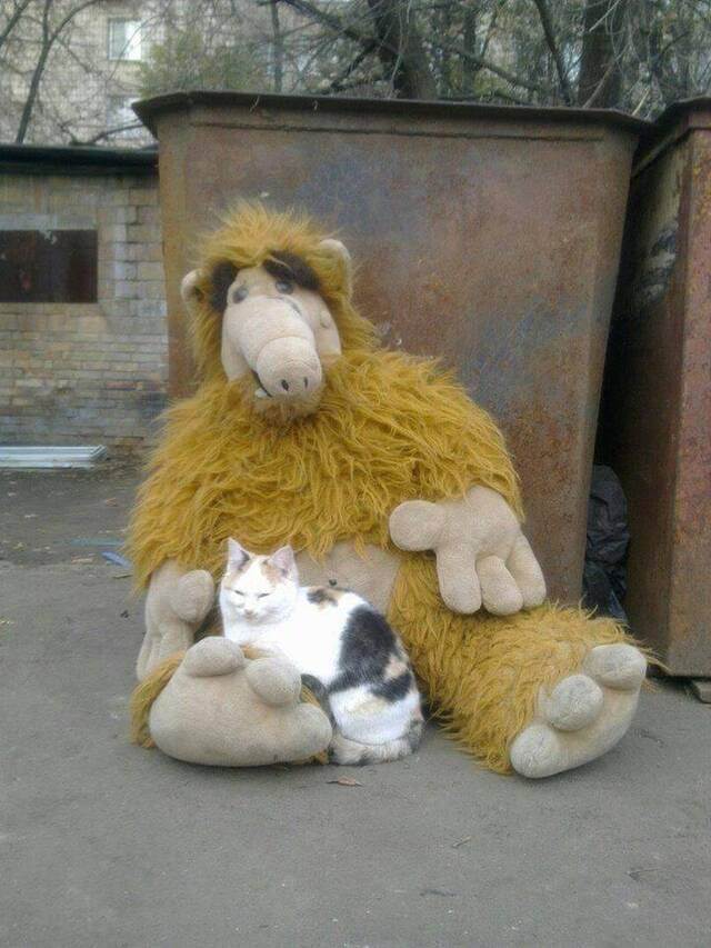 serieslyAWESOME.tv-picdump_serienbilderparade-104_25