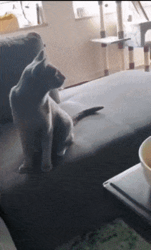 serieslyAWESOME.tv-picdump_serienbilderparade-105_50