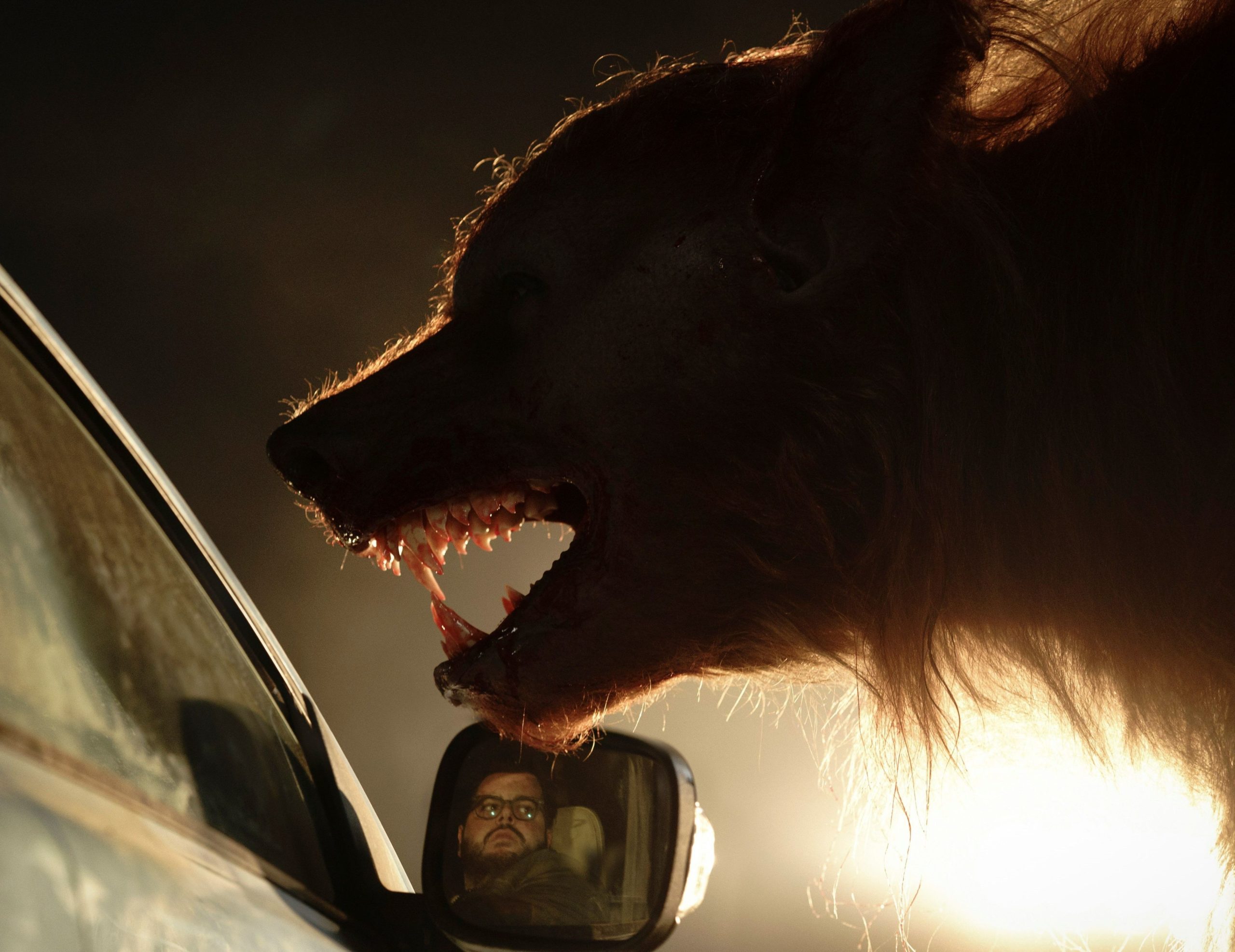 wolf-like-me-s01b
