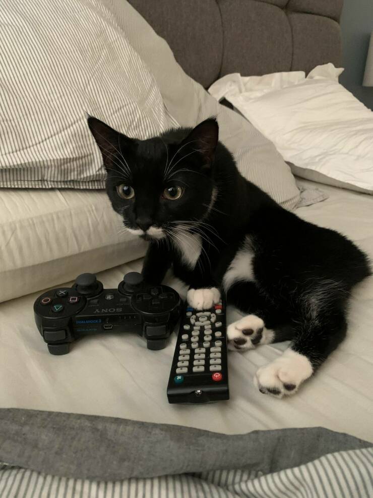 serieslyAWESOME.tv-picdump_serienbilderparade-108_14