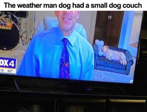 serieslyAWESOME.tv-picdump_serienbilderparade-109_42