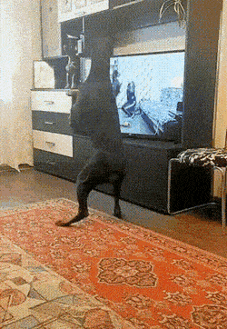 serieslyAWESOME.tv-picdump_serienbilderparade-111_10