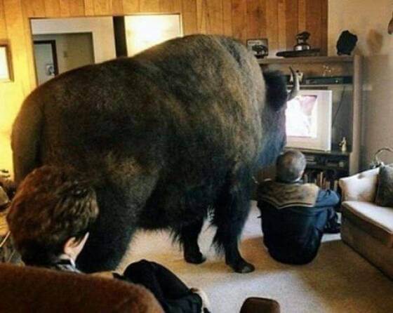 serieslyAWESOME.tv-picdump_serienbilderparade-112_08