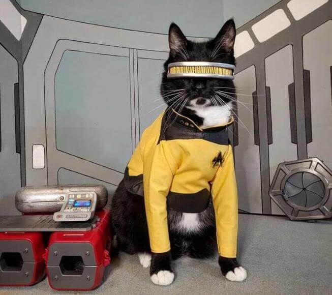 serieslyAWESOME.tv-picdump_serienbilderparade-112_26
