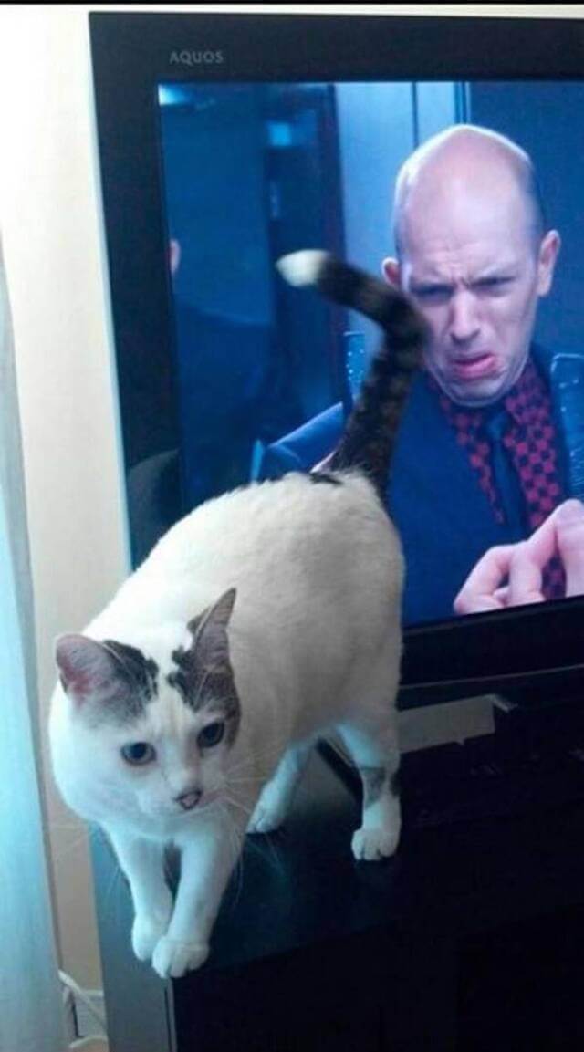 serieslyAWESOME.tv-picdump_serienbilderparade-112_31
