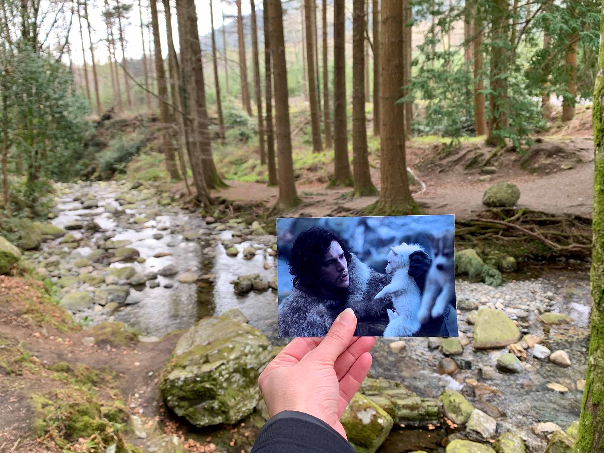 nordirland-tollymore-forest-game-of-thrones-hbo