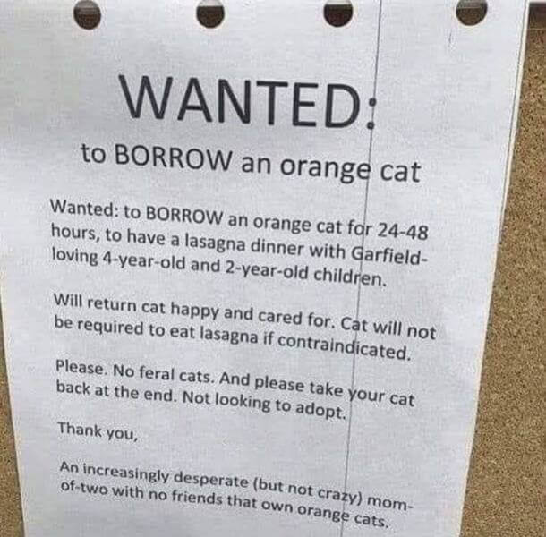 serieslyAWESOME.tv-picdump_serienbilderparade-113_05
