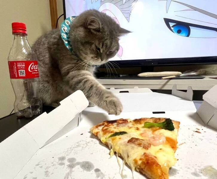 serieslyAWESOME.tv-picdump_serienbilderparade-113_23