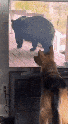 serieslyAWESOME.tv-picdump_serienbilderparade-113_30