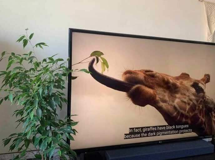 serieslyAWESOME.tv-picdump_serienbilderparade-113_58