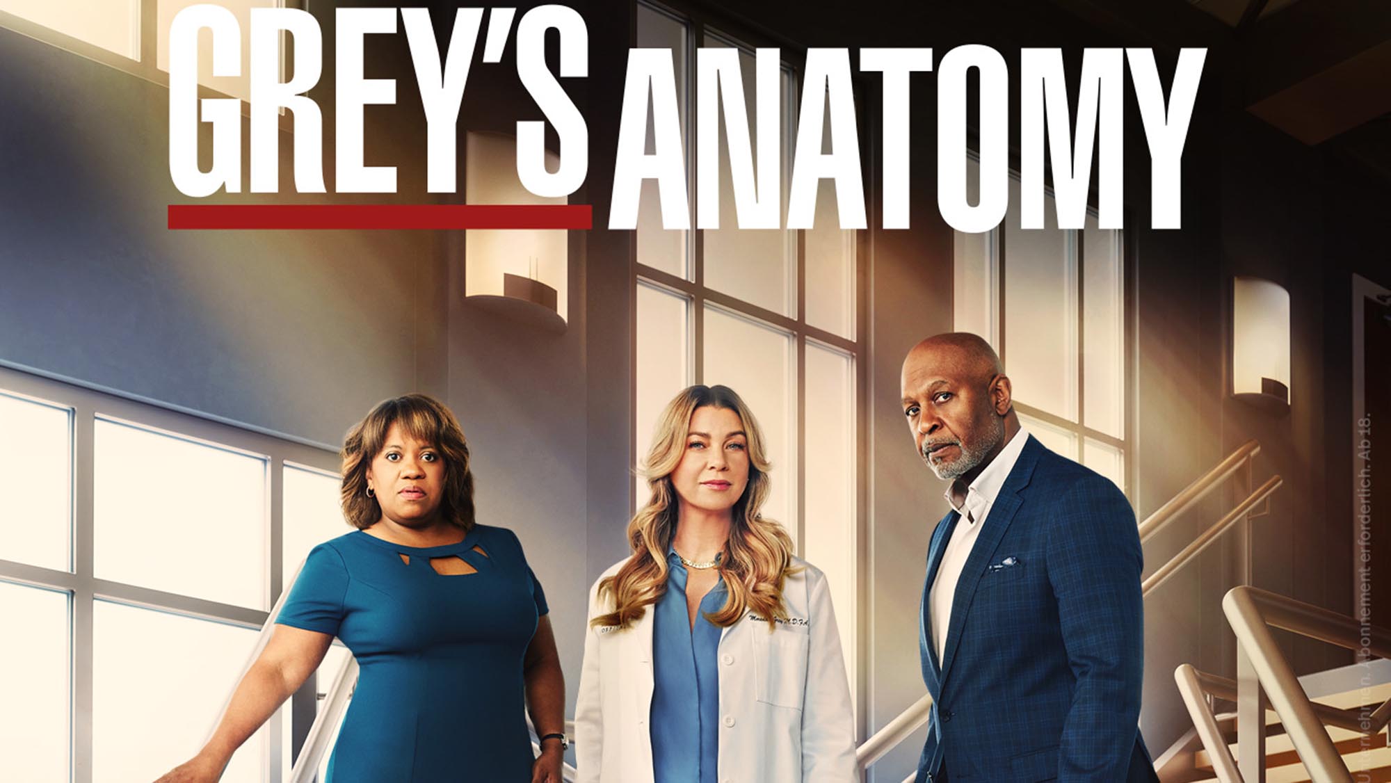 „Grey’s Anatomy – Die jungen Ärzte“: Staffel 19 erst bei Disney+, dann bei ProSieben